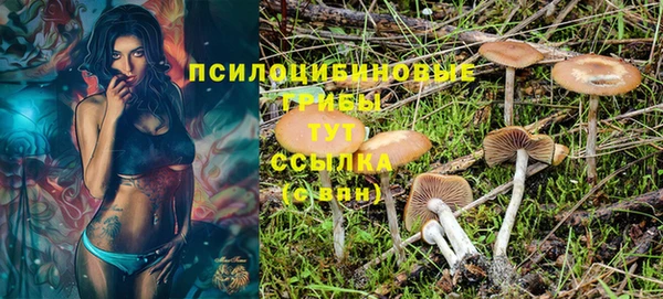 PSILOCYBIN Вязники